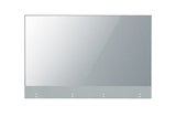 LG - Afficheur Professionnel 55   55EW5G-V