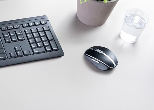CHERRY Souris MW 9100 sans fil nano USB / BT noire