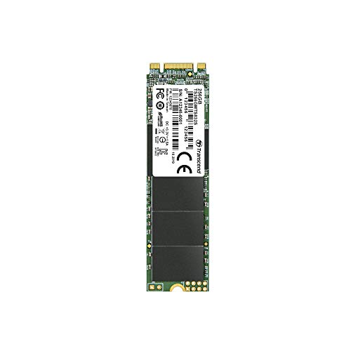 TRANSCEND 256Go Simple Face M.2 2280 SSD SATA B+M Key TLC pour Notebook ultra-fin