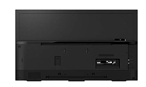 SONY téléviseur professionnel 65" 4K UHD