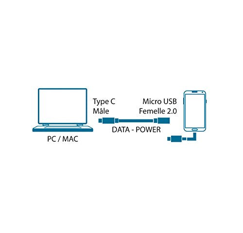 MCL Adaptateur USB 3.1 type C / USB 2.0 micro B femelle - 17cm    (P)