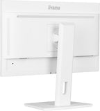 IIYAMA- Ecran bureautique 24   XUB2497HSN-W2