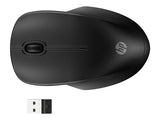 HP 255 Dual Wireless Mouse (EN)