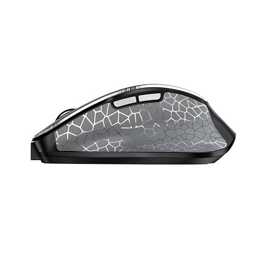 CHERRY Souris MW 8C ERGO sans fil USB & Bluetooth noire/argent rechargeable