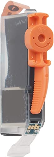 Ink/CLI-42 Cartridge Photo CY