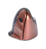 EVOLUENT Vertical Mouse 4 sans fil Petite taille - droitier
