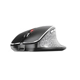 CHERRY Souris MW 8C ERGO sans fil USB & Bluetooth noire/argent rechargeable