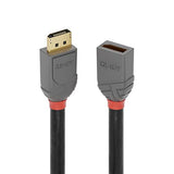 LINDY 0.5m DisplayPort Extension Cable Anthra Line