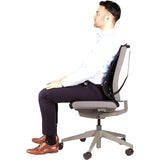 FELLOWES CONTOUR MESH BACK SUPPORT