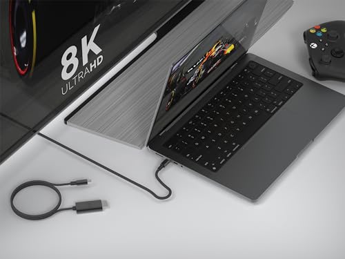 LINQ Cordon DisplayPort - USB Type-C 2 m