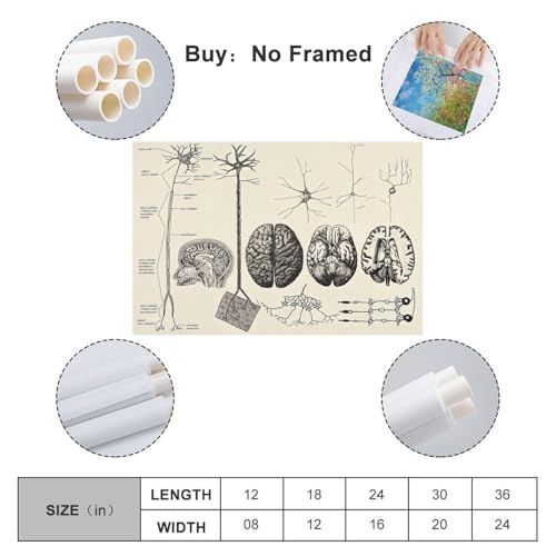 Samsung Galaxy A56 5G 8/256 Go Rose