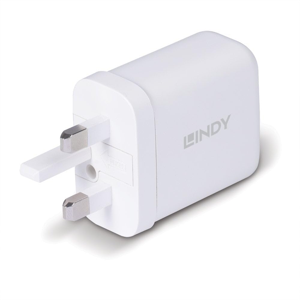LINDY 65W USB Type A & C GaN Charger