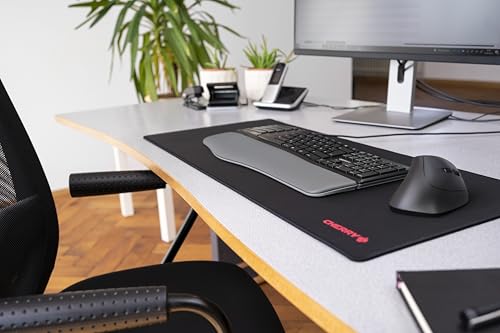 CHERRY Clavier KC 4500 ERGO USB noir