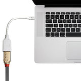 LINDY Câble adaptateur Mini DP M vers DP F Premium blindé