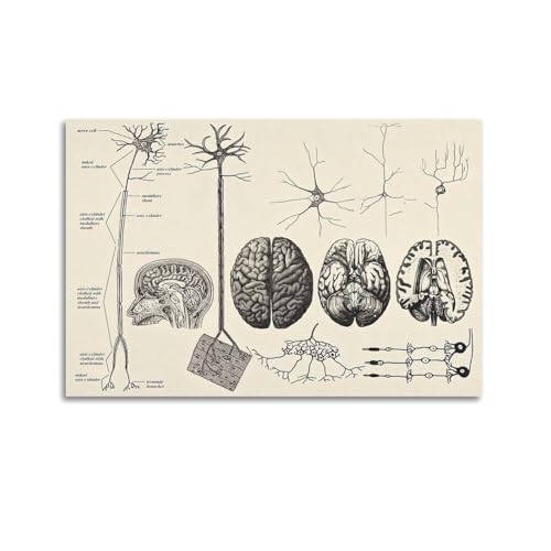 Samsung Galaxy A56 5G 8/256 Go Rose