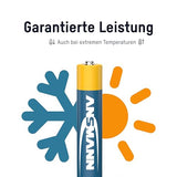 ANSMANN Piles alcalines 1510-0005 LR61 AAAA - blister de 2