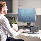 FELLOWES Support Moniteur Designer Suites