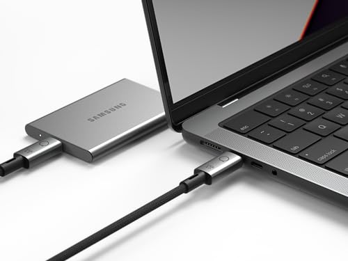 LINQ Cordon USB 4 LQ48029 1,0 m
