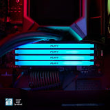 KINGSTON 32Go 3600MT/s DDR4 CL18 DIMM Kit of 2 FURY Beast RGB