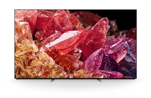 SONY- Téléviseur professionnel 65" FWD-65X95K