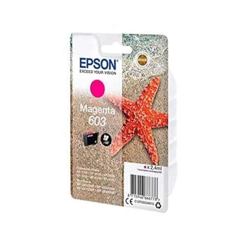 EPSON 1LB Singlepack Magenta 603 Ink w/s