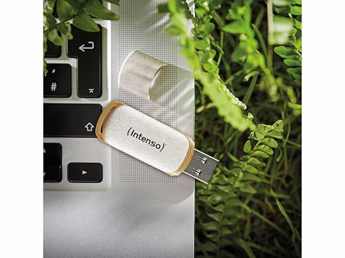 INTENSO Clé USB 3.2 Green Line 32 Gb
