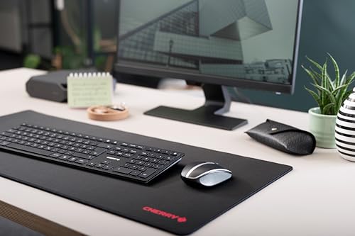 CHERRY Souris MW 9100 sans fil nano USB / BT noire