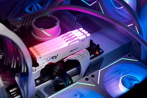 KINGSTON FURY Beast 32Go DIMM 5200MT/s DDR5 CL40 Kit of 2 White RGB XMP