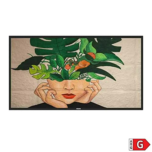 Philips 50 D-Line FHD 24/7