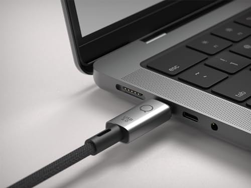 LINQ Cordon USB 4 LQ48029 1,0 m
