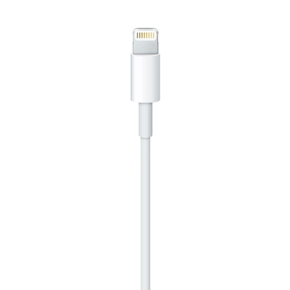 Apple MD819 - Câble Lightning Original  - 2m - Blanc (Blister)