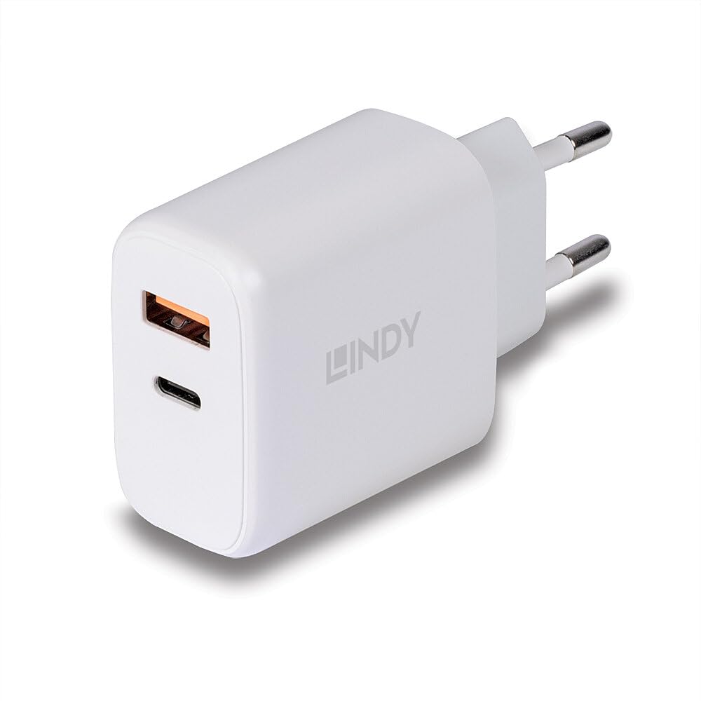 LINDY 30W USB Type A & C Charger