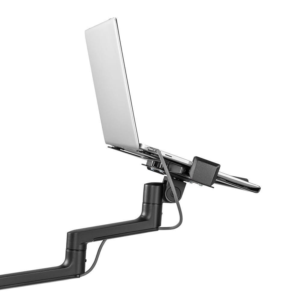NEOMOUNTS DS20-425BL1 Support dordinateur portable à fixer 11.6-17.3p - économie despace