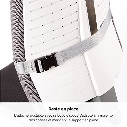 FELLOWES i-spire coussin lombaire