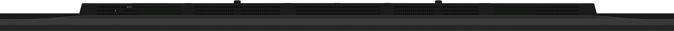 65" 3840x2160 UHD IPS Haze 1% 800cd