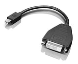 Lenovo 0B47090 câble vidéo et adaptateur 0,2 m Mini-DisplayPort SL-DVI Noir