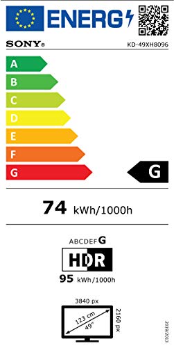 SONY-Téléviseur Professionnel 49" Android TV - FWD-49X80H/T