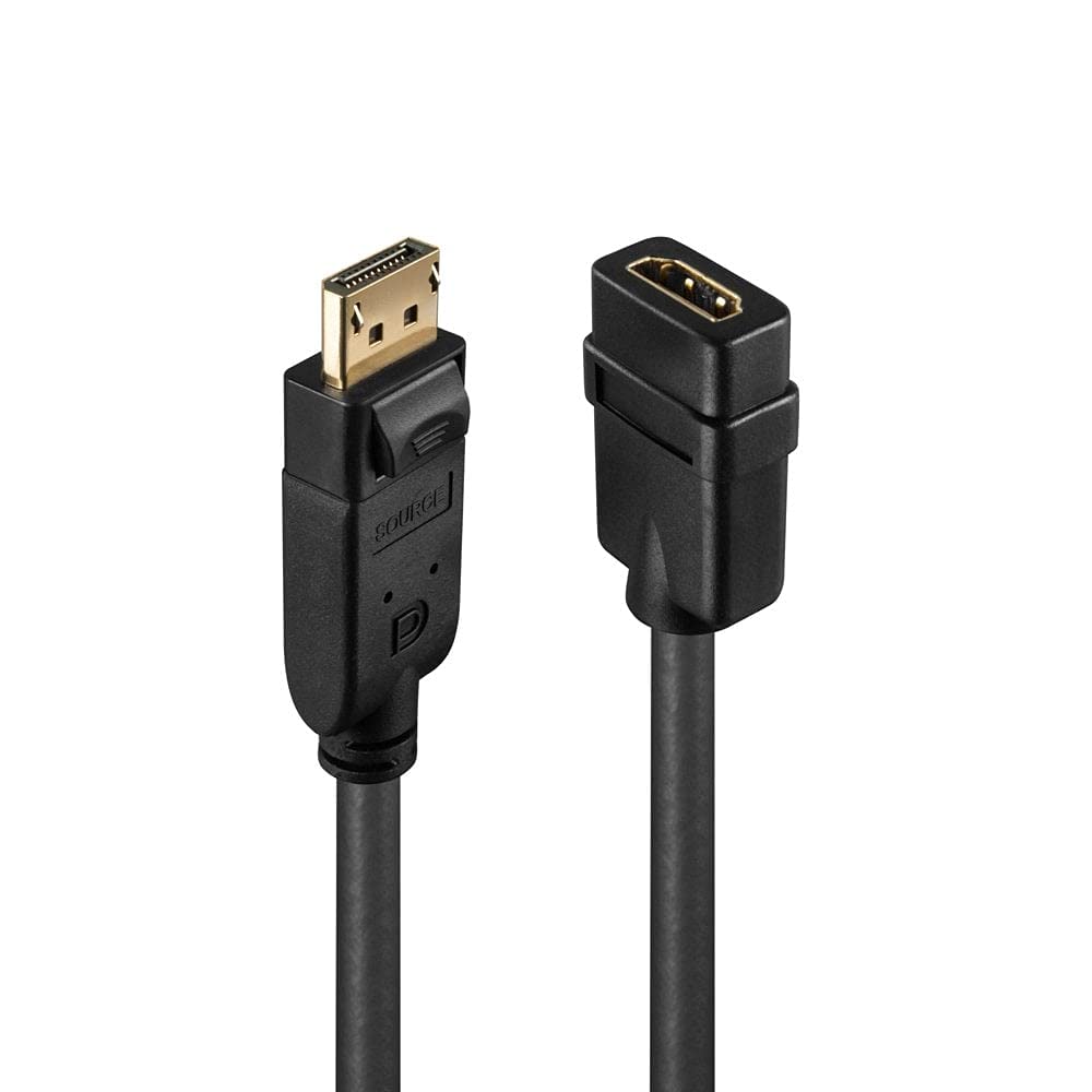 LINDY Convertisseur Passif DisplayPort vers HDMI