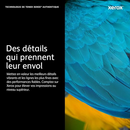 VersaLink C50X Cyan Standard Cap Toner