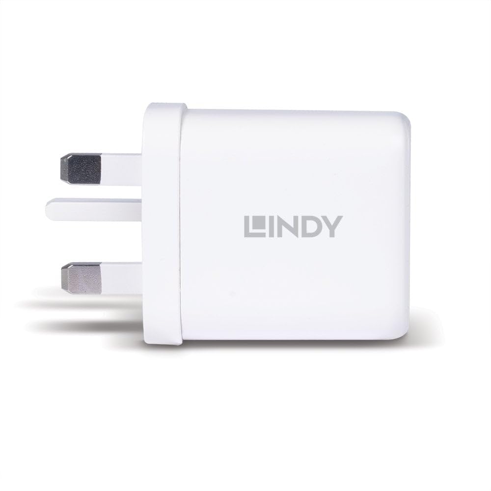 LINDY 65W USB Type A & C GaN Charger