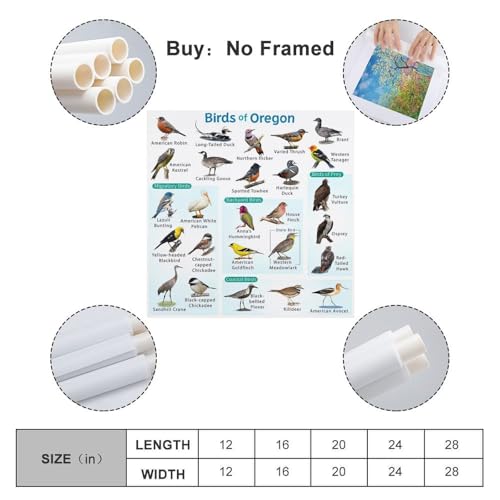 Samsung Galaxy A56 5G 8/128GB Rose