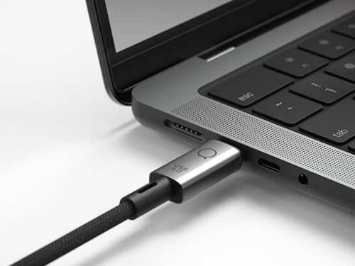 LINQ Cordon USB 4 LQ48029 1,0 m