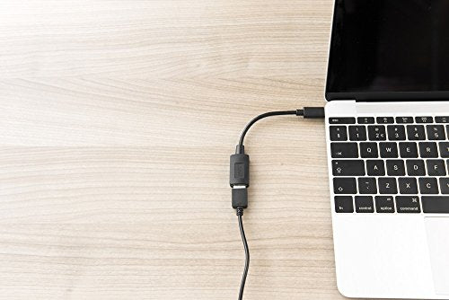 TRUST Adaptateur CALYX USB-C / USB