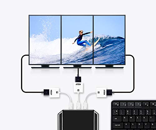 ATEN VC986B-AT câble vidéo et adaptateur Blanc
