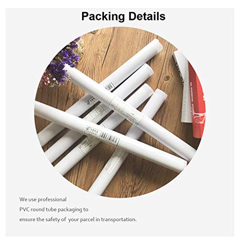 Hilook by Hikvision IPC-T260HA-LUF Caméra Smart Hybrid-Light