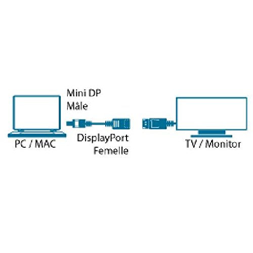 MCL Câble Mini DisplayPort male / DisplayPort Femelle 4K2K - 15cm
