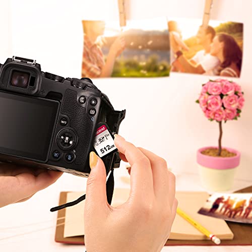 TRANSCEND Carte SDHC TS8GSDC300S Classe 10 8 Go