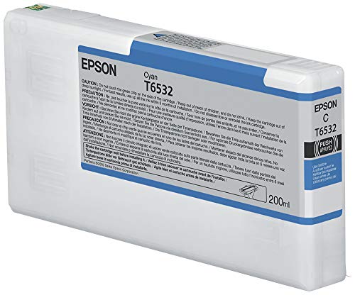EPSON 5LB T6531 ink cartridge photo black standard capacity 200ml