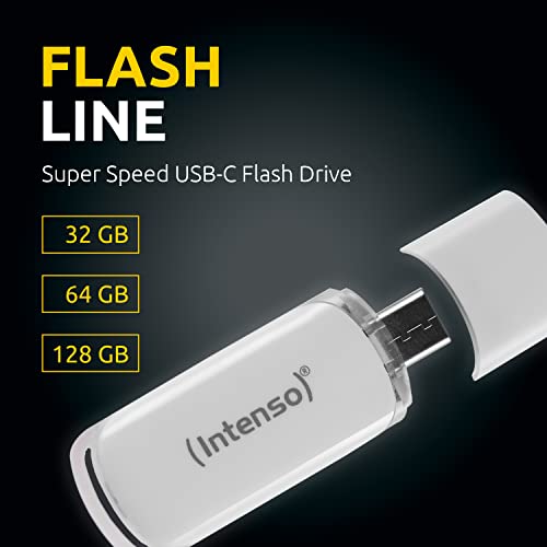 INTENSO Clé USB 3.1 Flash Line Type-C 64 Go