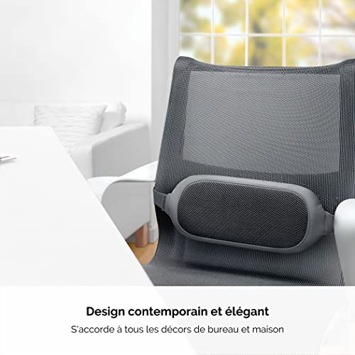 FELLOWES i-spire coussin lombaire